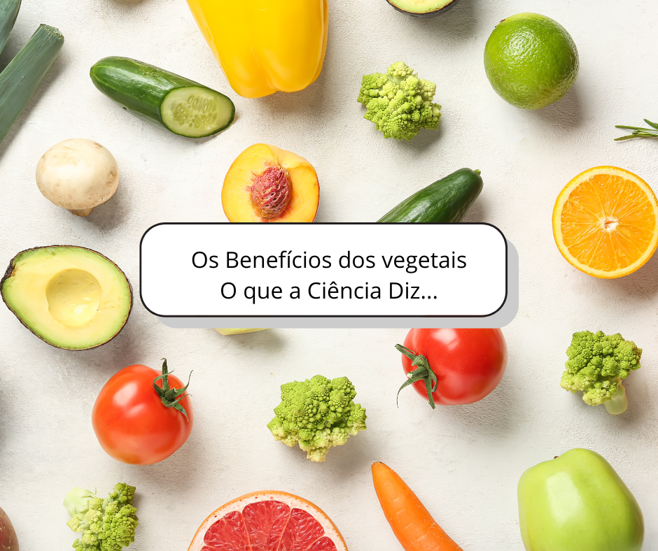 Benefícios dos vegetais: evidências científicas para sua saúde e longevidade